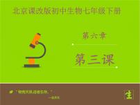 初中生物北京版七年级下册第三节 其他生物的呼吸背景图课件ppt
