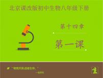 初中生物北京版八年级下册第一节 环境对生物的影响说课ppt课件