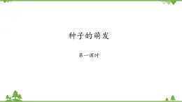 魯科版（五四學(xué)制）生物六年級下冊2.1《 種子的萌發(fā)》ppt課件