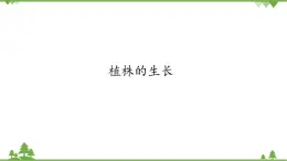 魯科版（五四學(xué)制）生物六年級下冊 2.2《植株的生長》ppt課件