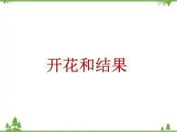魯科版（五四學(xué)制）生物六年級下冊 2.3《開花和結(jié)果》ppt課件