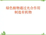 魯科版（五四學(xué)制）生物六年級下冊5.1《光合作用吸收二氧化碳釋放氧氣》ppt課件