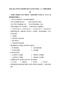 2020-2021学年山东省枣庄市台儿庄区七年级（上）期末生物试卷    解析版