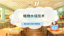 【核心素養(yǎng)目標(biāo)】湘人版七下勞技   任務(wù)三 項(xiàng)目二《植物水培技術(shù)》課件+教案+素材