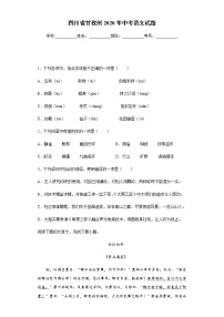 四川省甘孜州2020年中考語文試題及參考答案