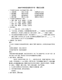 2020年河南省洛阳市中考一模语文试卷（含答案）