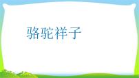中考語(yǔ)文名著總復(fù)習(xí)《駱駝祥子》完美課件PPT