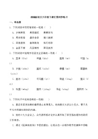 初中语文人教部编版八年级下册灯笼课时训练