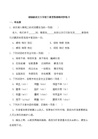 初中语文人教部编版八年级下册登勃朗峰课后作业题
