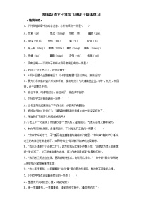 初中语文人教部编版七年级下册11 老王习题