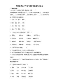 初中语文人教部编版八年级下册登勃朗峰测试题