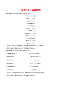 專題11：詩歌鑒賞-2021-2022學年八年級語文下冊期中專項復習（部編版）