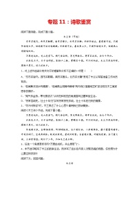 專題11：詩歌鑒賞-2021-2022學年七年級語文下冊期中專項復習（部編版）
