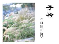 初中語(yǔ)文人教部編版八年級(jí)下冊(cè)子衿圖文ppt課件