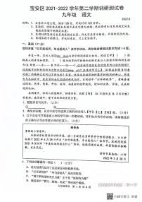 2022年广东省深圳市宝安区中考二模语文试卷