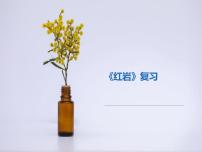 《紅巖》中考復習教學課件