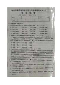 2022年辽宁省葫芦岛市连山区九年级第一次中考模拟考试语文试题（有答案）