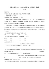 2021年河南省（驻马店市）天宏大联考中招第一次模拟考试语文试题