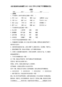 山東省濱州市濱城區(qū)2021-2022學(xué)年七年級下學(xué)期期末語文試題(word版含答案)