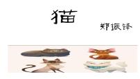 初中语文人教部编版七年级上册16 猫示范课课件ppt