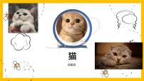 初中语文人教部编版七年级上册16 猫图片ppt课件