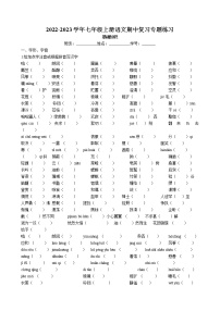 期中復習之基礎知識專題訓練  2022-2023學年部編版語文七年級上冊