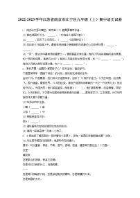 2022-2023学年江苏省南京市江宁区九年级（上）期中语文试卷（含答案解析）