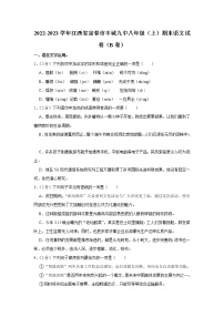 江西省宜春市丰城市第九中学2022-2023学年 八年级上学期期末语文试卷（b卷）(含答案)