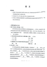 2023年河南省新乡市长垣市中考一模语文试题（无答案）