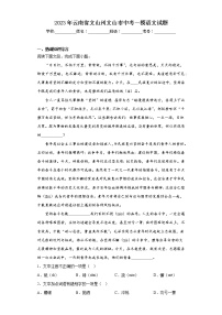 2023年云南省文山州文山市中考一模语文试题（含答案）