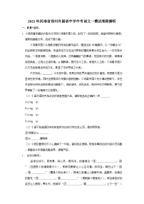 2023年河南省郑州外国语中学中考语文一模试卷附解析