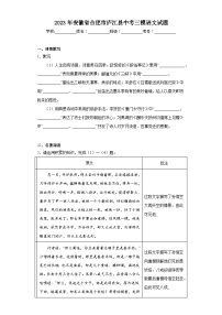 2023年安徽省合肥市庐江县中考三模语文试题（含答案）