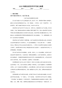2023年湖北省武汉市中考语文真题（含解析）