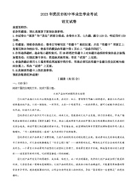 2023年湖北省武汉市中考语文真题（含解析）