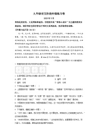 江苏省扬州市宝应县东北片2022-2023学年九年级3月月考语文试题（原卷版）