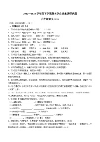 山东省临沂市罗庄区2022-2023学年八年级下学期期末语文试题(含答案)
