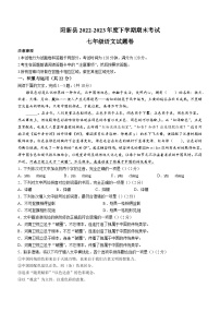 湖北省黄石市阳新县2022-2023学年七年级下学期期末语文试题（含答案）