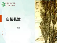 15白楊禮贊課件- 部編版（五四制）八年級語文上冊