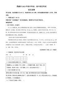 2023年甘肅省武威市中考語文真題（解析版）