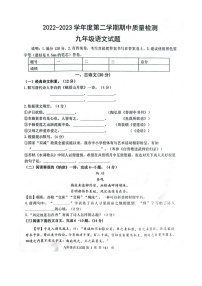 山东省菏泽市单县2022-2023学年九年级下学期期中语文试题（含答案）