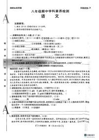 陕西省安康市高新中学2023-2024学年八年级上学期期中语文试题