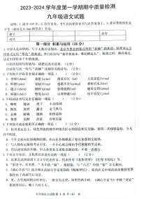 山东省菏泽市单县2023-2024学年九年级上学期11月期中语文试题