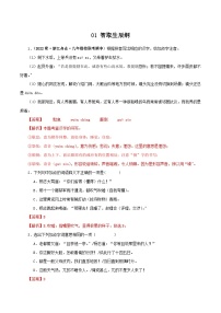 01 智取生辰綱-2023-2024學(xué)年九年級(jí)語(yǔ)文上冊(cè)知識(shí)(考點(diǎn))梳理與能力訓(xùn)練