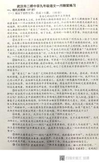 湖北省武汉市二桥中学2023-2024学年九年级上学期1月月考语文试题