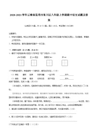 2020-2021学年云南省昆明市东川区八年级上学期期中语文试题及答案