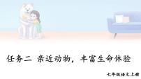 人教部編版七年級上冊寫作 如何突出中心課堂教學課件ppt