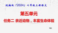 人教部編版（2024）七年級上冊任務二 親近動物，豐富生命體驗授課ppt課件