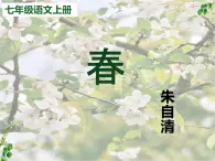 統(tǒng)編版五四制（上海專用）語文七年級上冊 第01課 春（教學(xué)課件）
