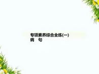 01-專項素養(yǎng)綜合全練(一)　病　句課件-2024版.五·四學(xué)制人教版.七年級上.語文同步