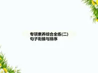 02-專項素養(yǎng)綜合全練(二)　句子銜接與排序課件-2024版.五·四學(xué)制人教版.七年級上.語文同步